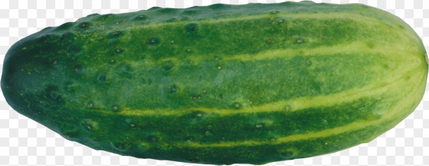 Cucumber Food PNG