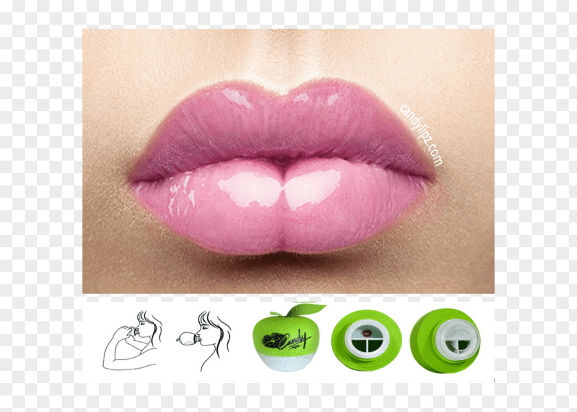 Lips Lip Augmentation Cosmetics Beauty And The Peach Model PNG