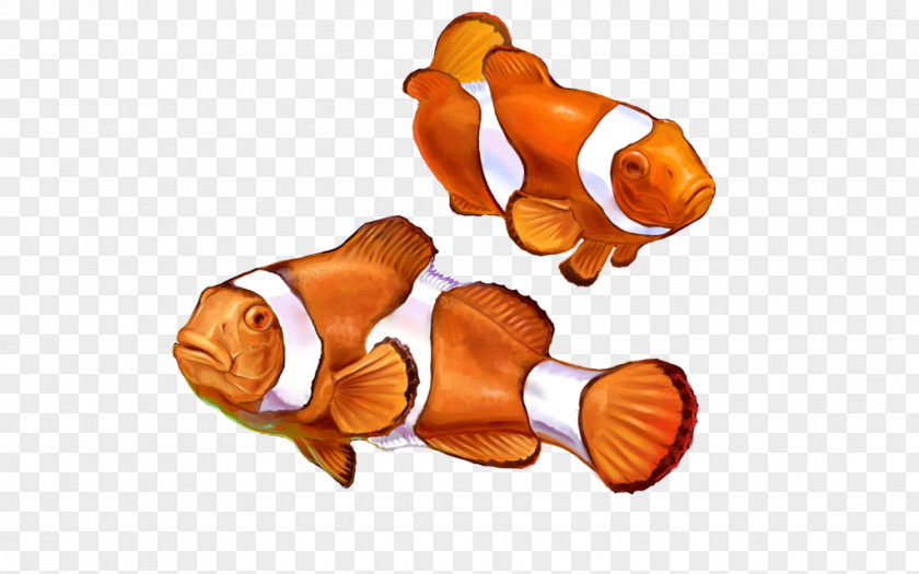 Painting Clownfish Nemo Drawing Animal PNG