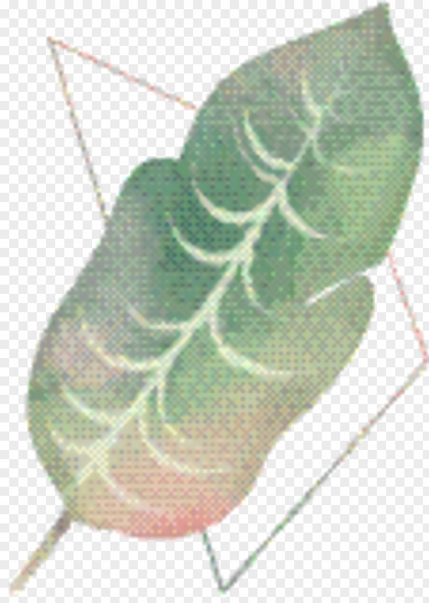 Plant Pathology Flower Cartoon PNG