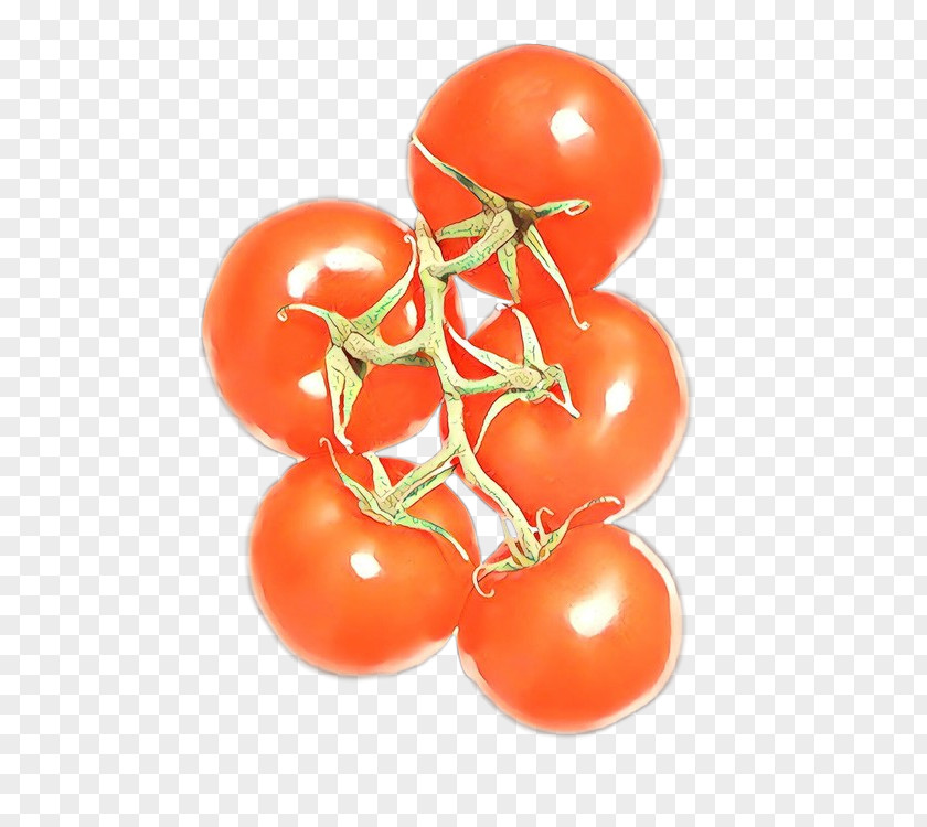Plum Tomato Cherry Fruit Food PNG