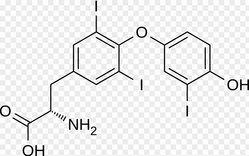Thyroid Gland Letrozole Molecule Aromatase Estrogen Hormone PNG