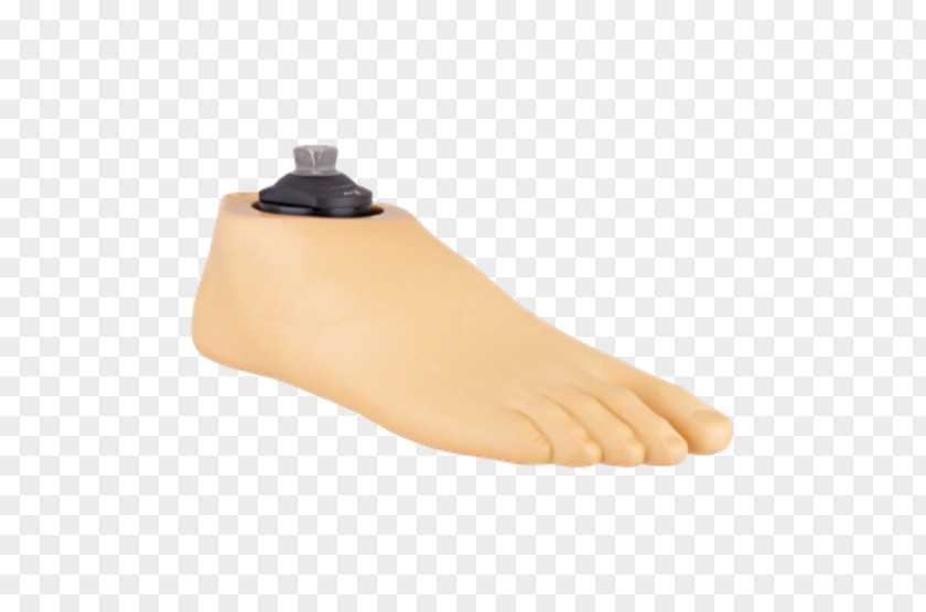 ZUMO Foot Thumbnail Heel Shoe Finger PNG