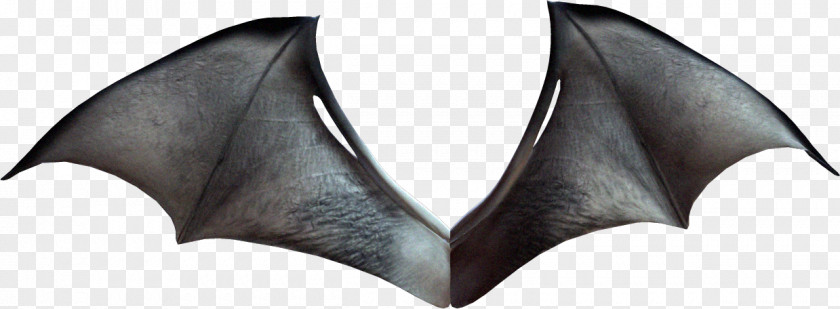 Bat Wings Lamborghini Murcixe9lago Drawing Clip Art PNG