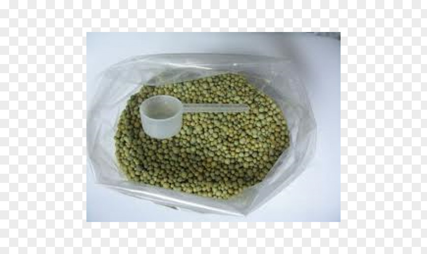 Common Lilly Pilly Fertilisers Nutrient Controlled-release Fertiliser Adubação Houseplant PNG