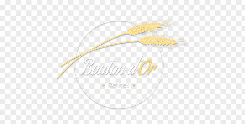 Design Logo Brand Desktop Wallpaper Font PNG