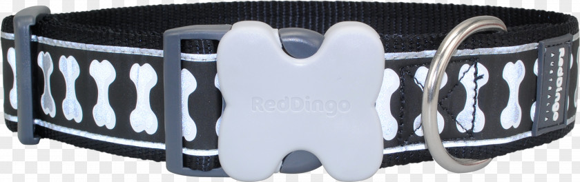 Dog Dingo Collar Leash Pet PNG