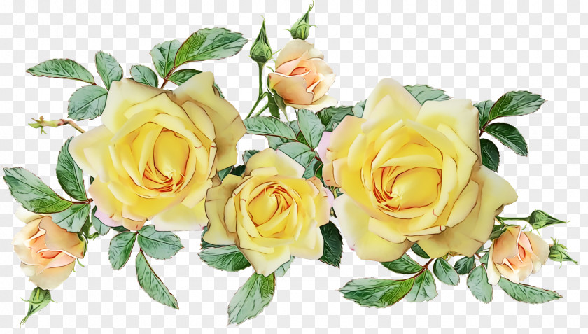 Garden Roses PNG