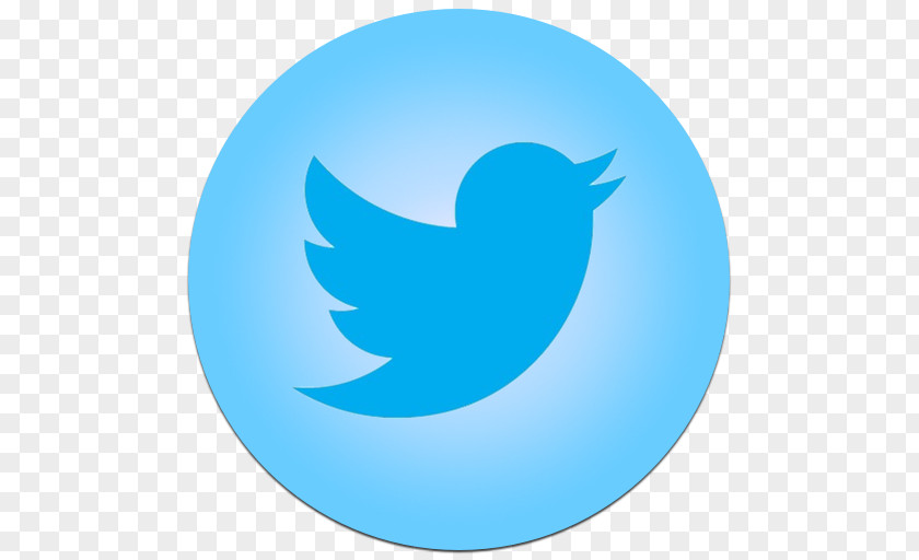 Icon Twitter Symbol Social Media Logo PNG