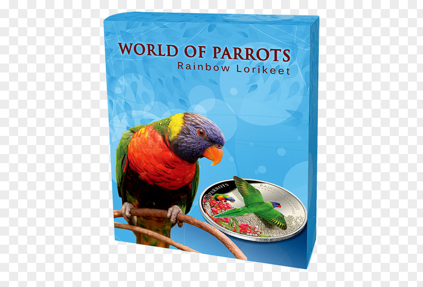 Parrot Macaw Loriini Bird Rainbow Lorikeet PNG