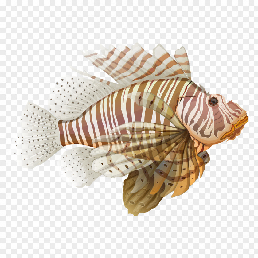 Princess Fish Red Lionfish Spotfin Illustration PNG