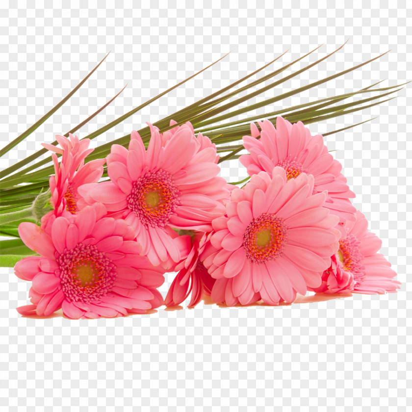 Vector Bouquet Of Red High-definition Television Pink Flowers Wallpaper PNG