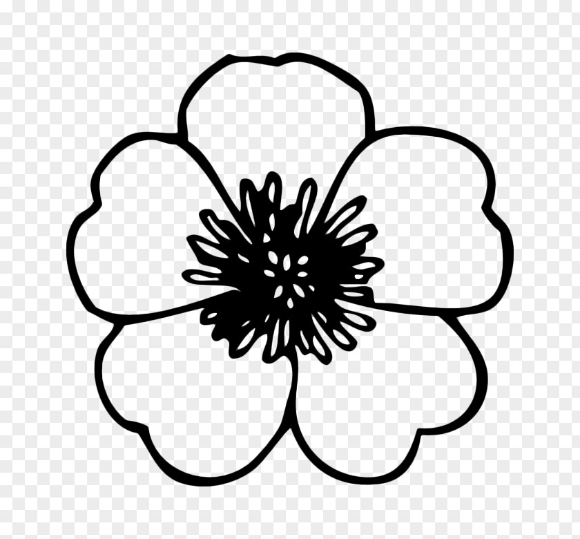 Clip Art Openclipart Flower Free Content PNG