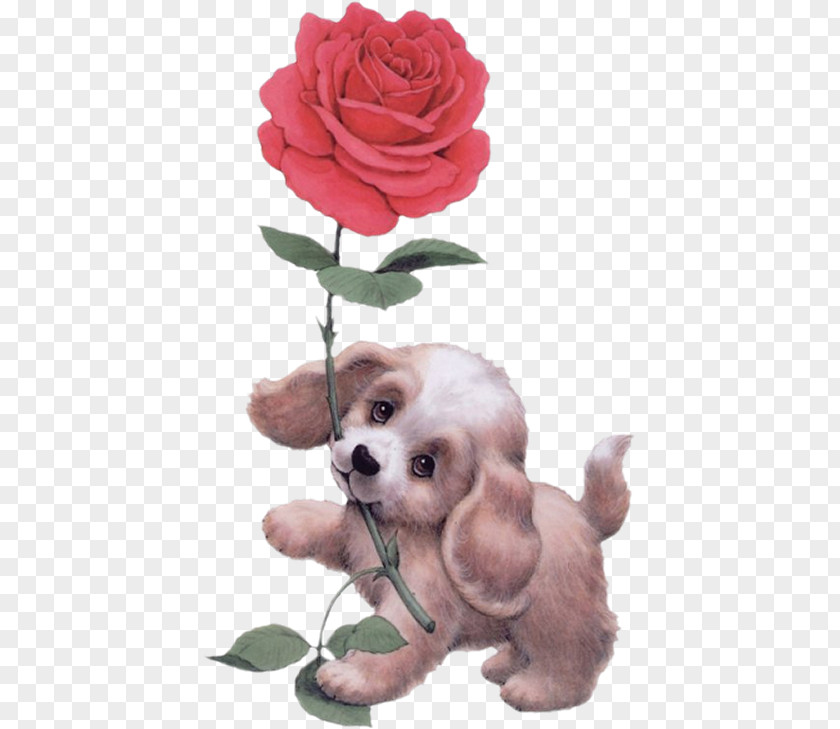 Dogrose Dog Breed Puppy Love Companion PNG