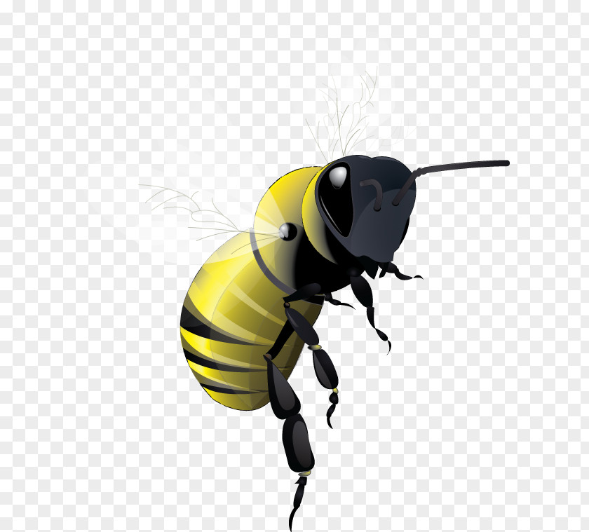 Flying Bee Honey PNG