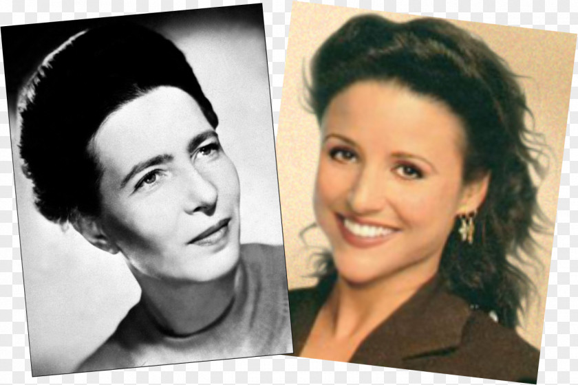 Simone De Beauvoir Julia Louis-Dreyfus Seinfeld Susan Ross Philosopher PNG