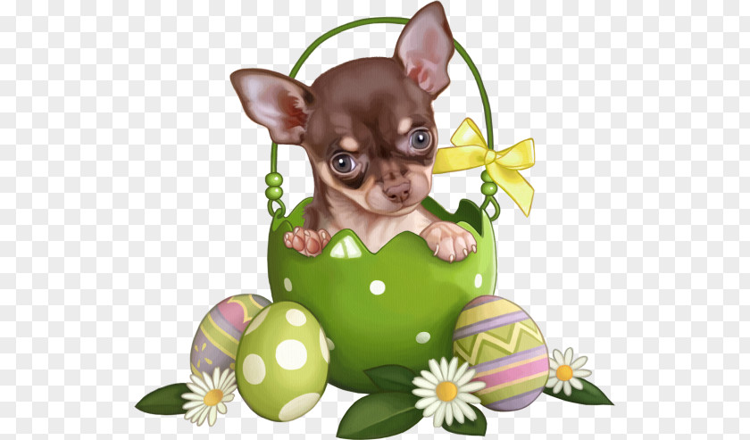 Christmas Puppy Bulldog Animal Easter Bunny Egg PNG