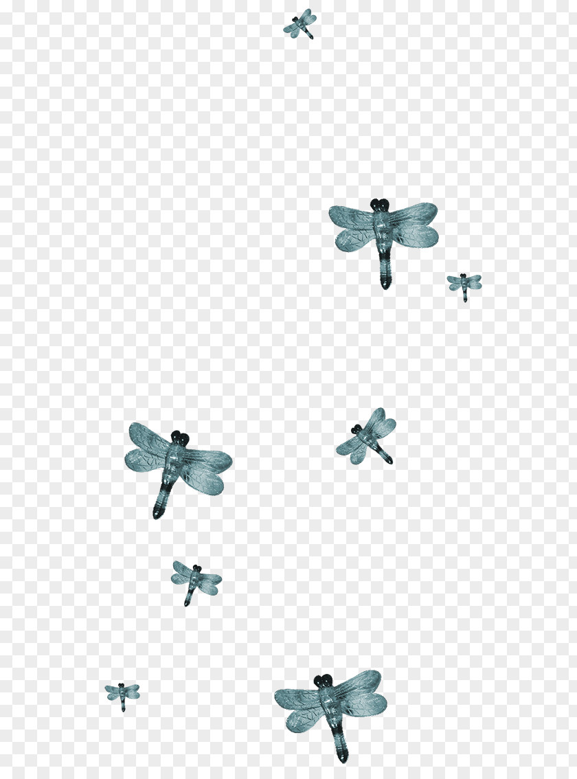Dragonfly Decorative Material Insect Butterfly PNG