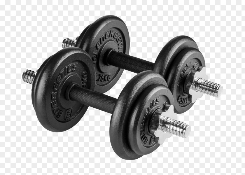 Dumbbell Weight Training Sports Physical Fitness PNG