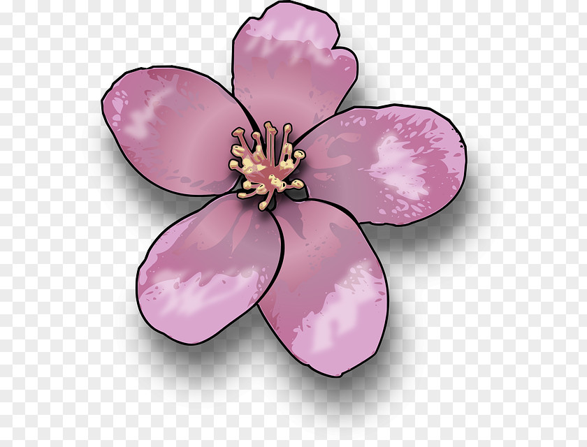 Pink Blossom Drawing Clip Art PNG