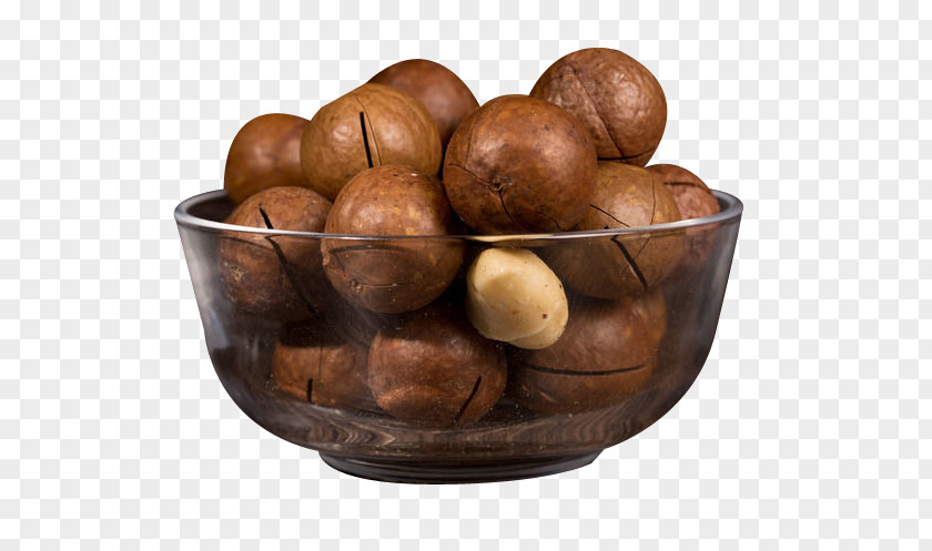 Australian Walnut Cuisine Macadamia Nut PNG