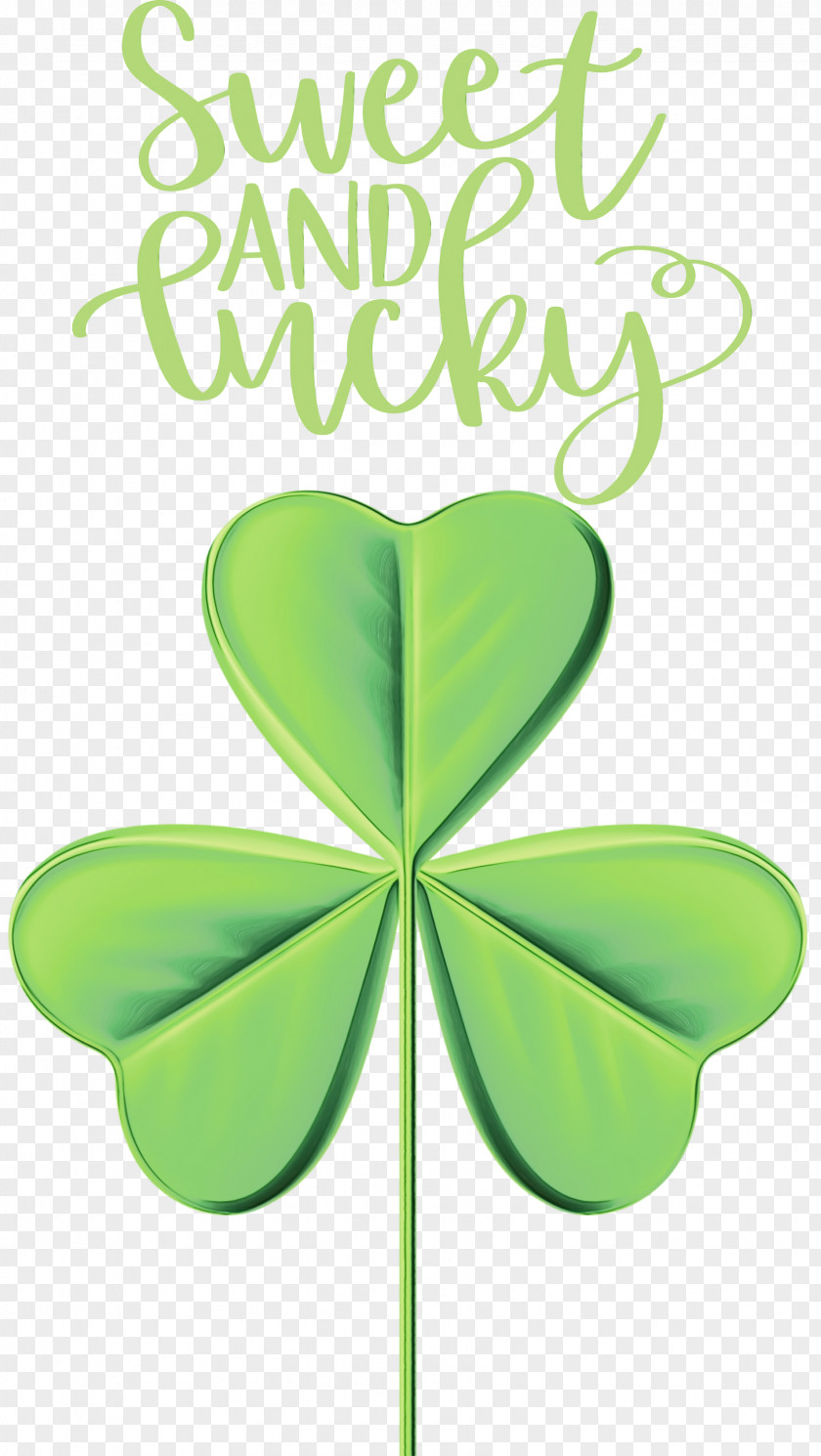 Shamrock PNG