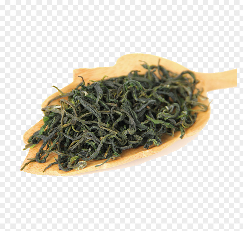 Spoonful Of Green Tea Biluochun Nilgiri Bancha PNG