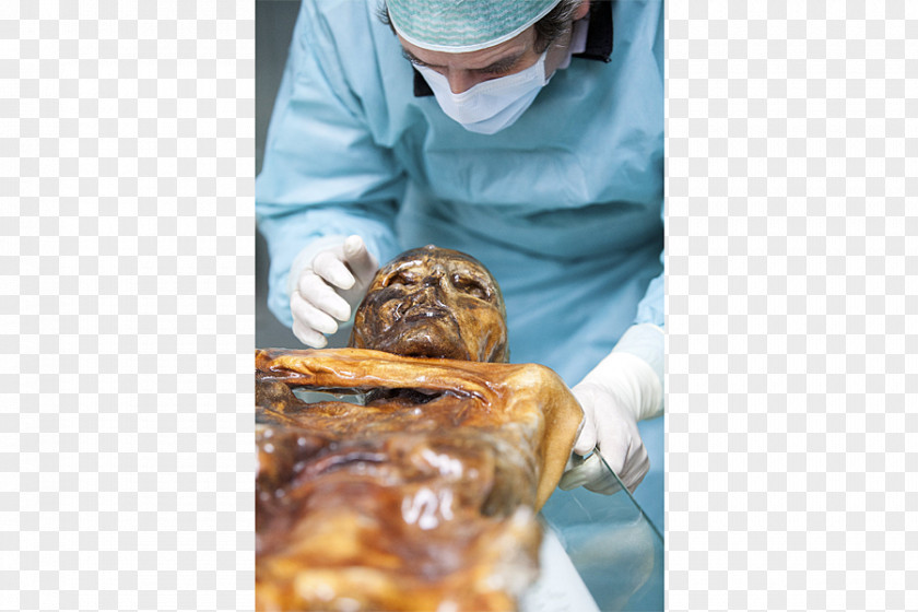 The Mummy Eurac Research Ötzi Tattoo Bioarchaeology PNG