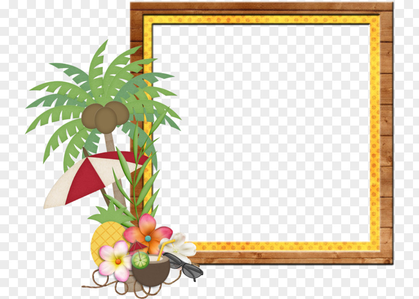 Tropical Frame Picture Frames Indian Rocks Beach Hawaii Thepix PNG