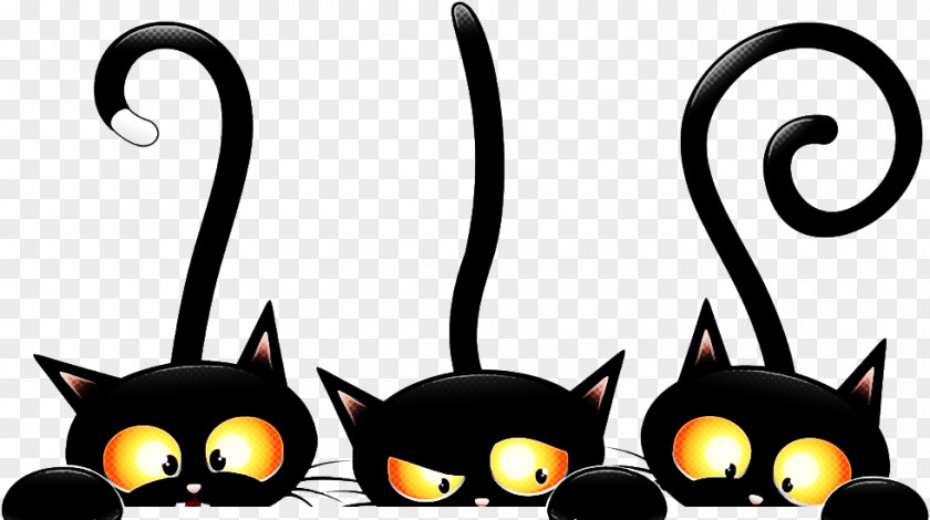 Cat Black Small To Medium-sized Cats Whiskers Tail PNG