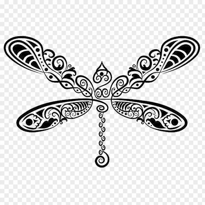 Haccho Libellule Vector Graphics Drawing Dragonfly Insect Illustration PNG
