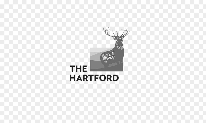 Reindeer Hartford Logo Antler Font PNG