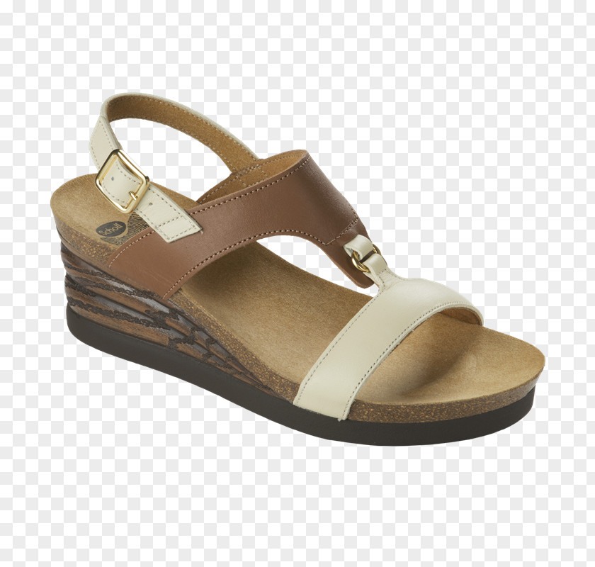 Sandpaper Slipper Sandal Dr. Scholl's Shoe Footwear PNG