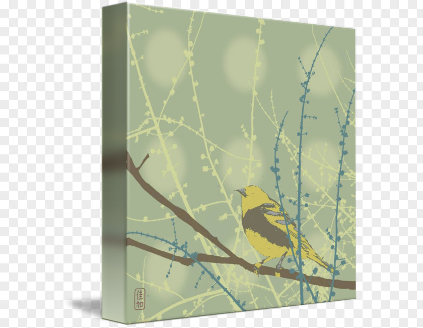 Spring Buds Gallery Wrap Bird Canvas Twig Fauna PNG