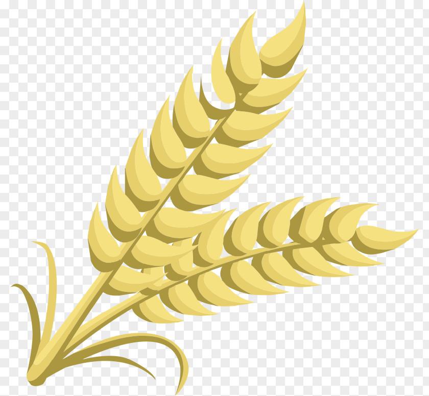 Wheat Cliparts Cereal Free Content Clip Art PNG