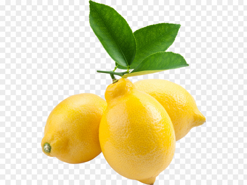 Flower Sweet Lemon PNG