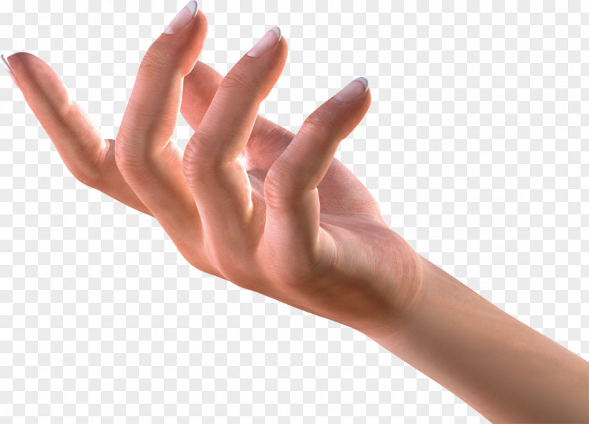 Hand Thumb Model Nail Glove PNG