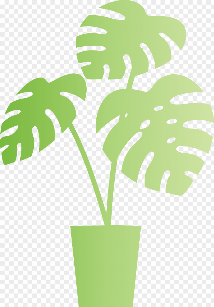 Monstera Tropical Leaf PNG