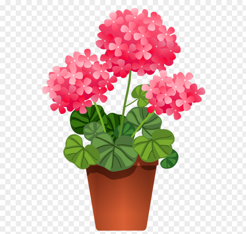 Potted Plant Cliparts Houseplant Flower Clip Art PNG