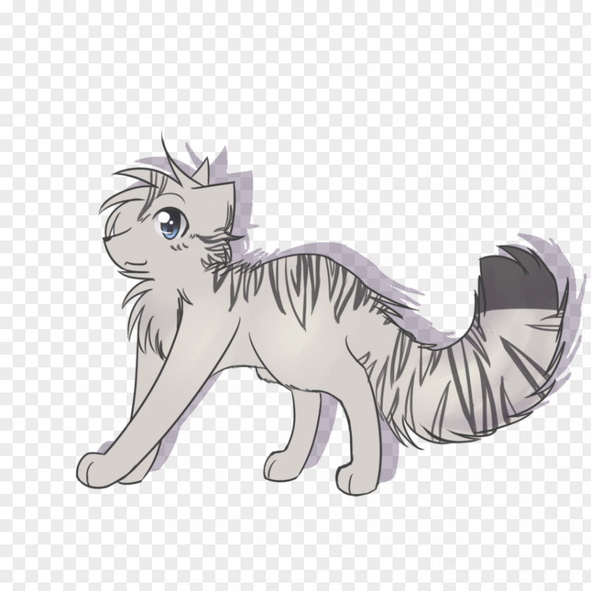 Big Tail Whiskers Kitten Cat Canidae Paw PNG