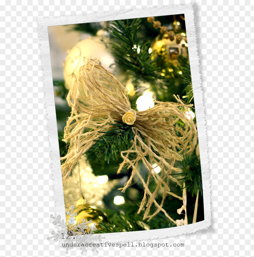 Christmas Ornament Branching PNG