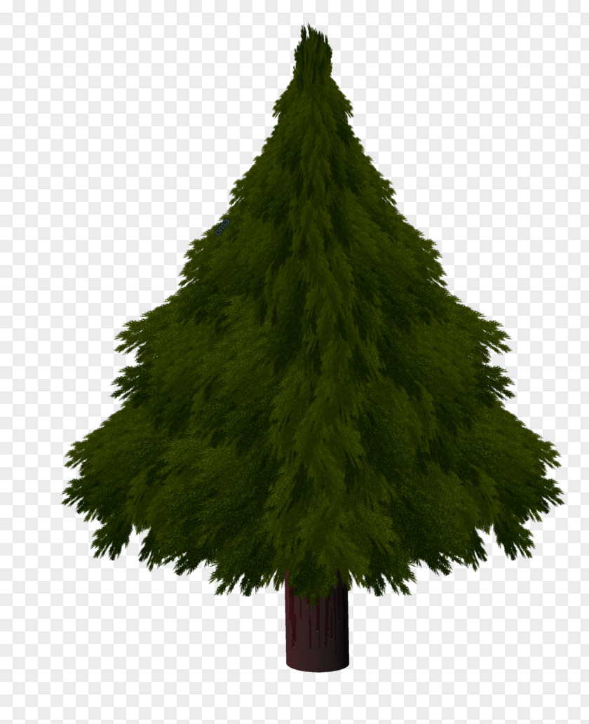 Christmas Tree Drawing S Clip Art PNG