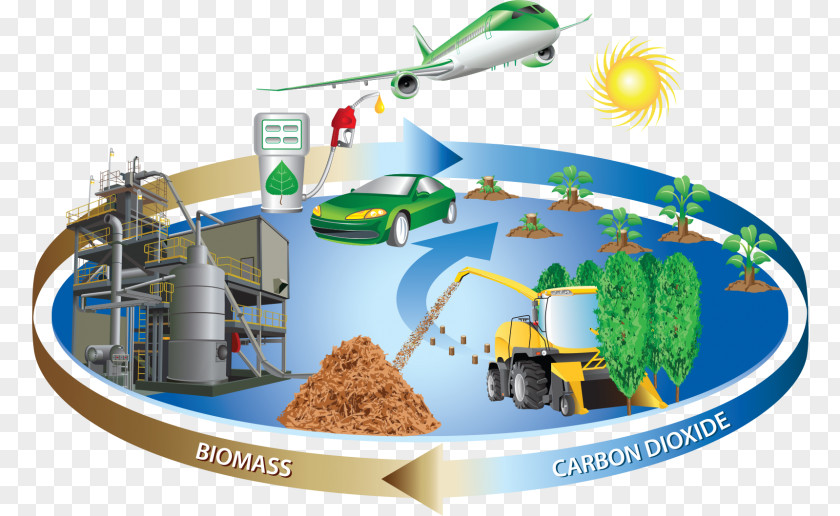 Genetic Material Biomass Biofuel Renewable Energy PNG