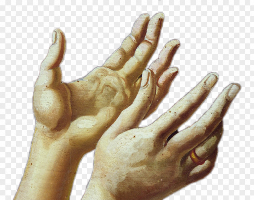 Hand Thumb Model Organism La Bohème PNG
