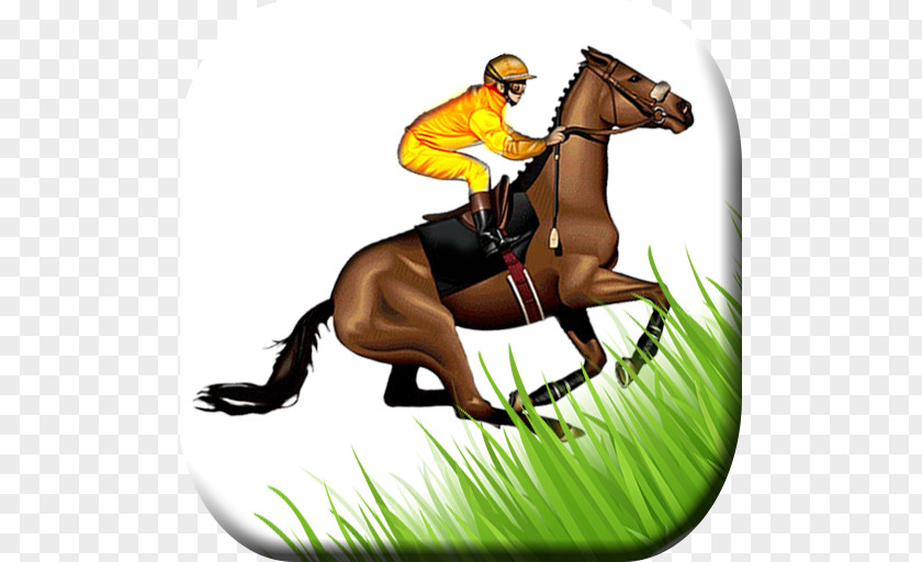 Mustang Hunt Seat Mane Stallion Rein PNG