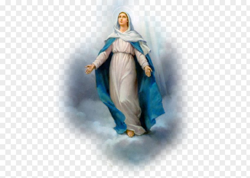 Our Lady Of Guadalupe Feast The Immaculate Conception Lourdes PNG