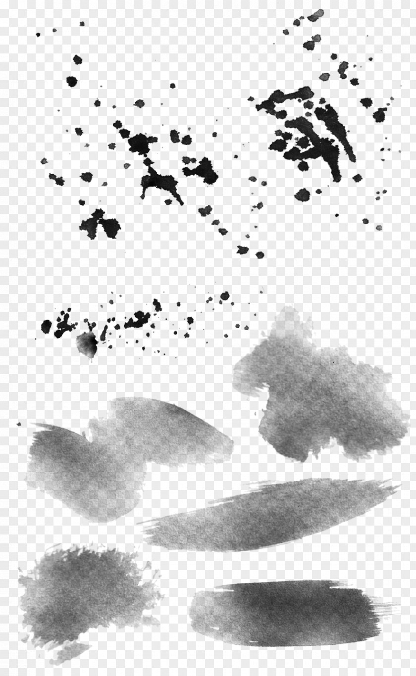Paper Firework Black And White Monochrome Photography Digital Pet Neopets PNG