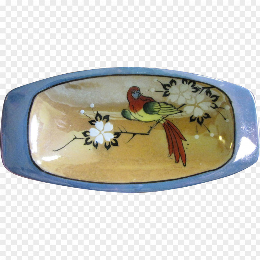 Plate Tray Oval Bowl PNG