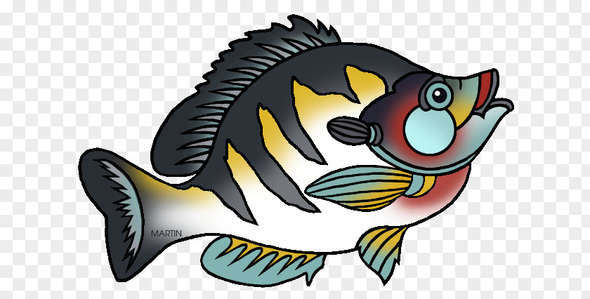 Bluegill State Fish Field Museum Of Natural History Clip Art PNG