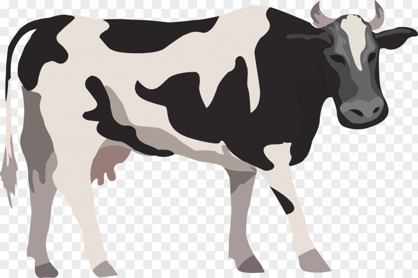 Cow Vector Cattle Livestock Farm Illustration PNG